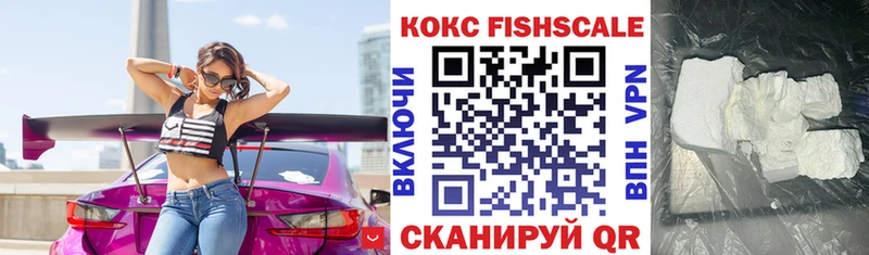 сколько стоит Заполярный OMG зеркало КОКАИН Columbia