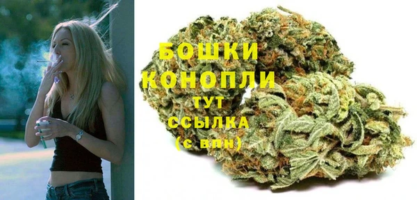 дурь Волоколамск